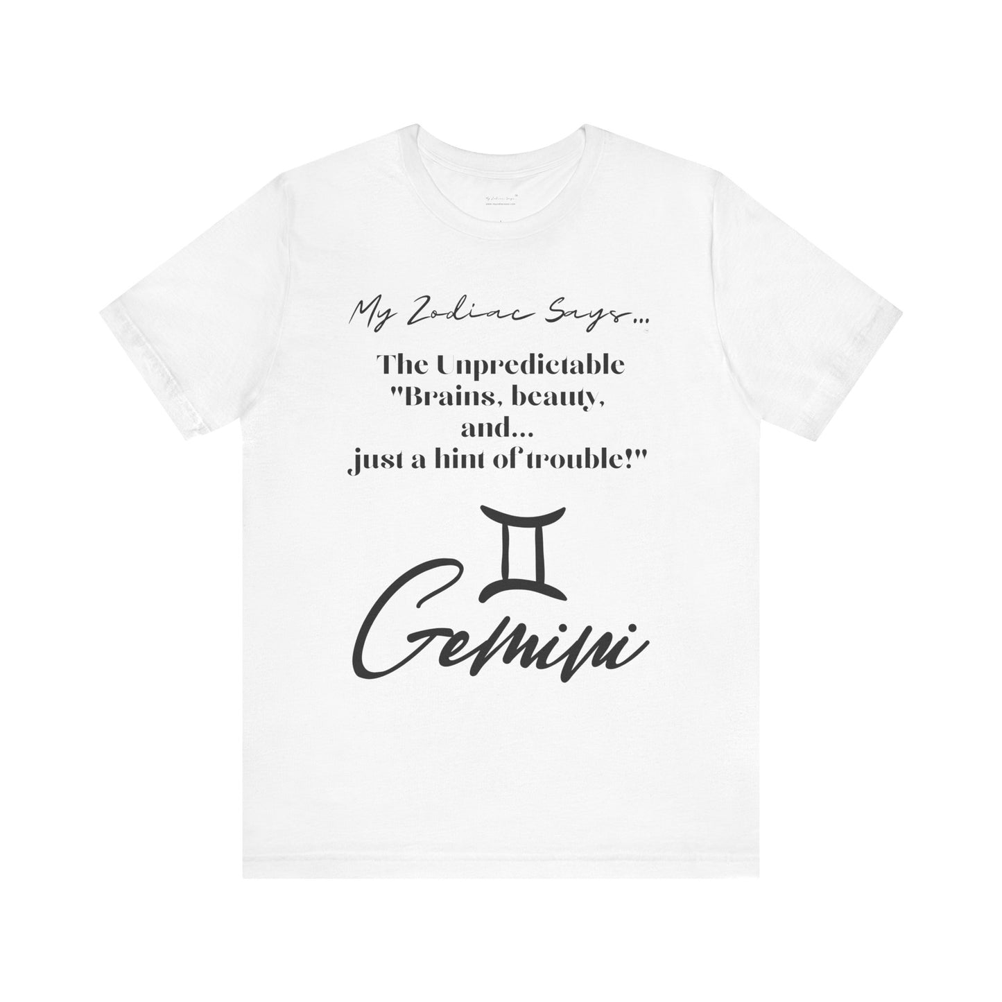 Gemini Cosmic Pun3 T-Shirt