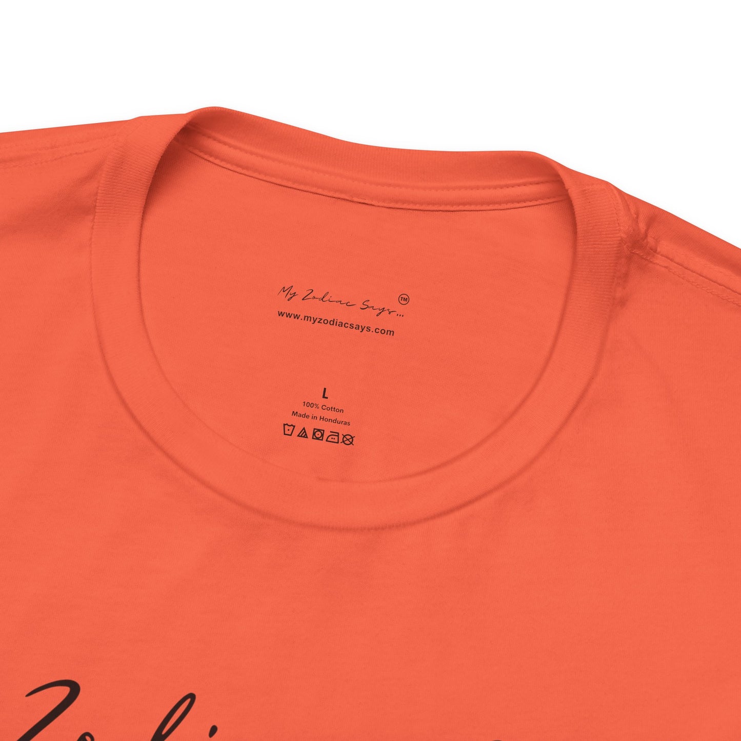 Virgo Cosmic Pun1 T-Shirt