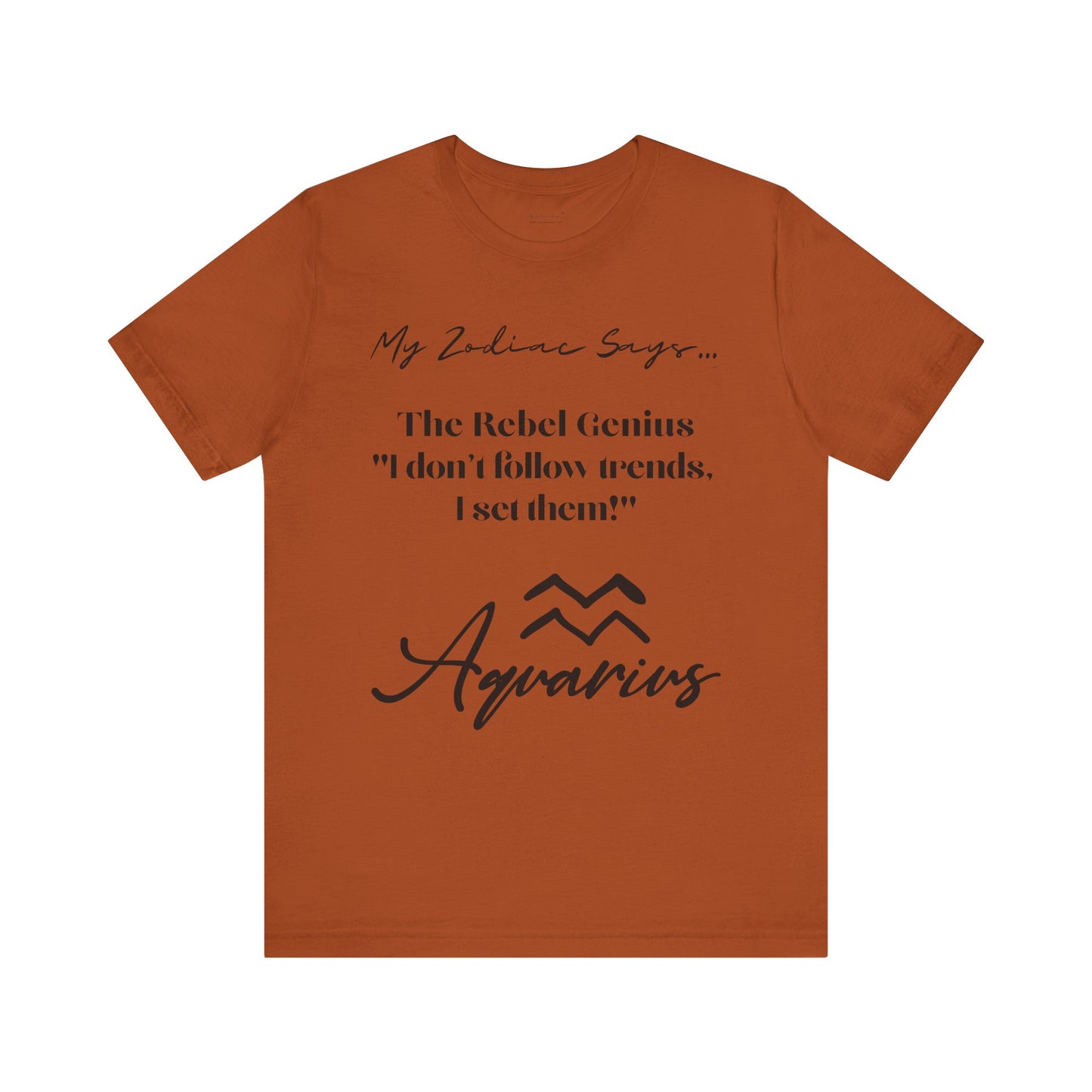 Aquarius Cosmic Pun3 T-Shirt