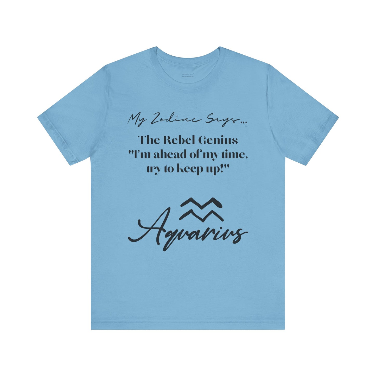 Aquarius Cosmic Pun2 T-Shirt