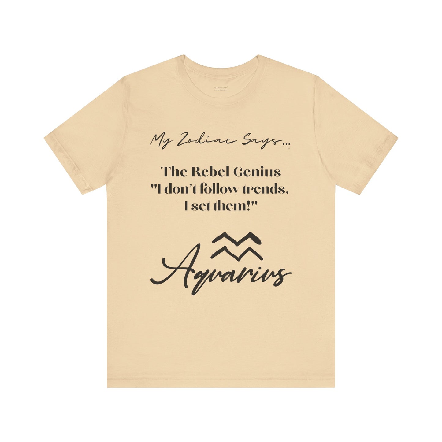 Aquarius Cosmic Pun3 T-Shirt