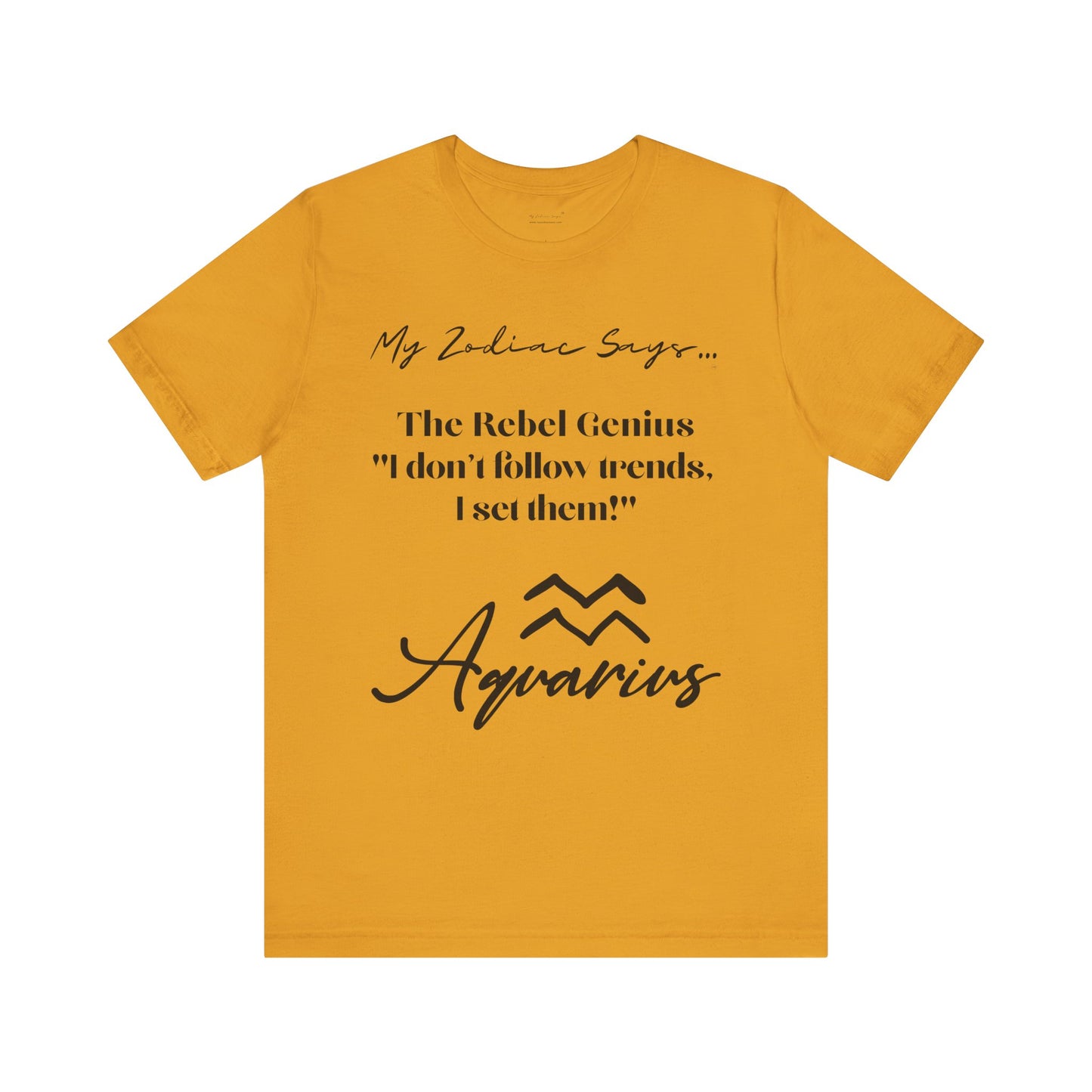 Aquarius Cosmic Pun3 T-Shirt