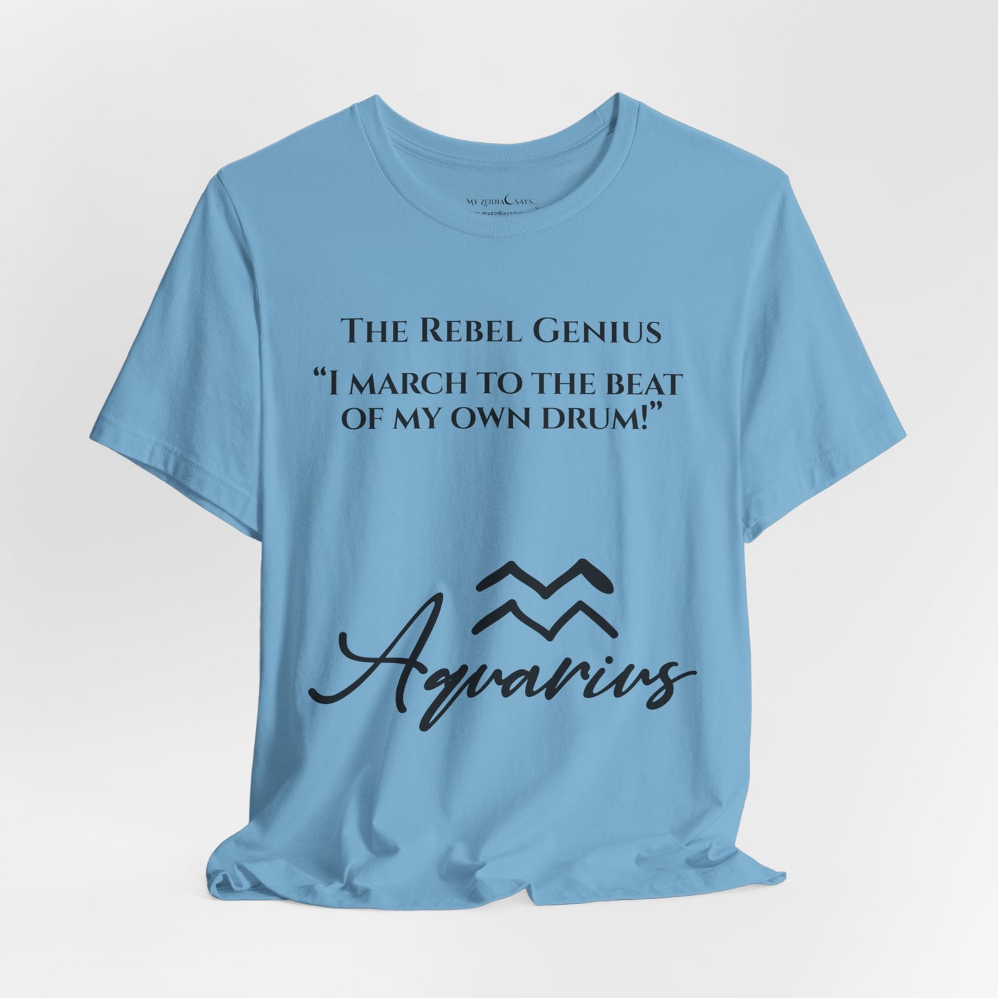 Aquarius Saying 1 T-Shirt