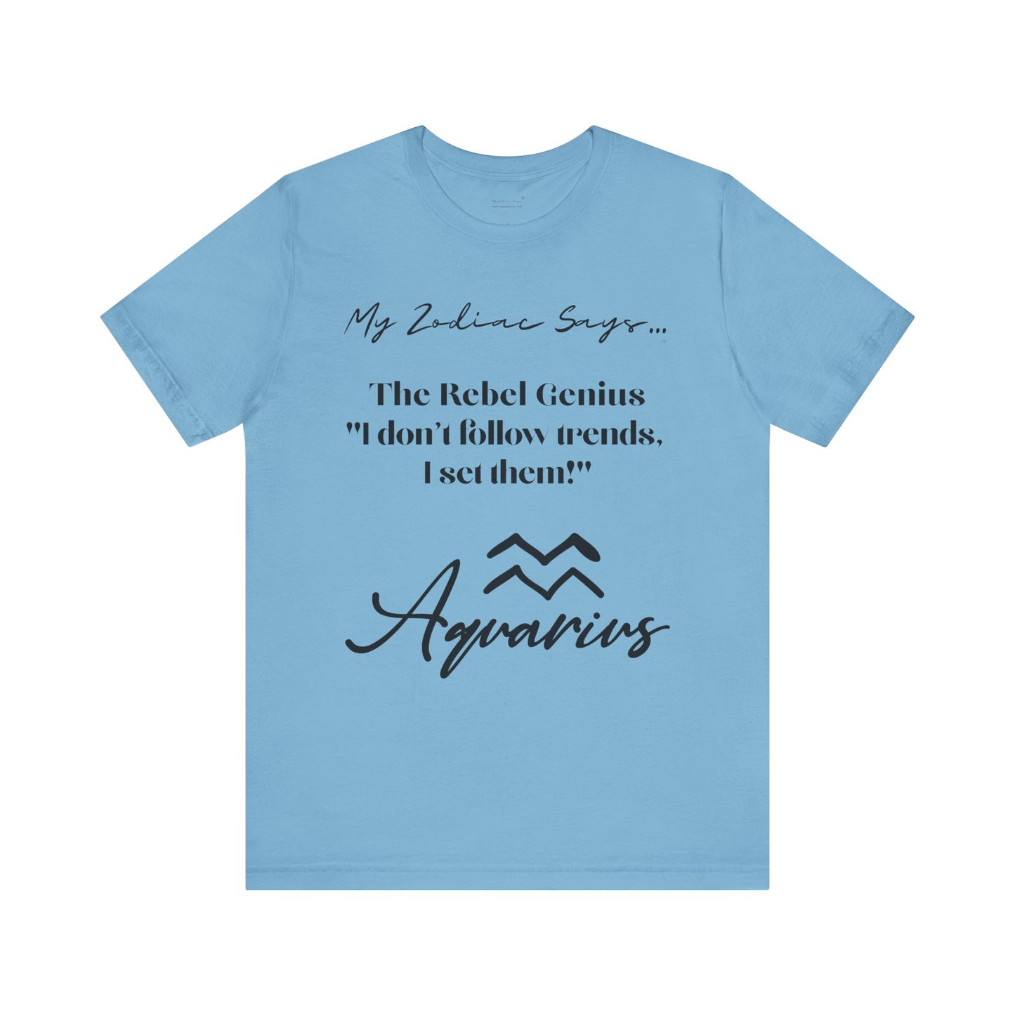 Aquarius Cosmic Pun3 T-Shirt