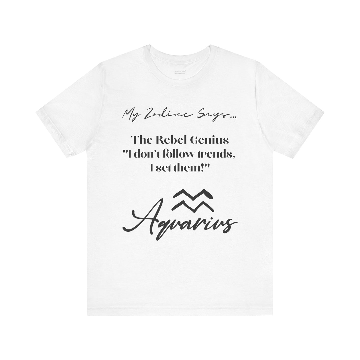 Aquarius Cosmic Pun3 T-Shirt
