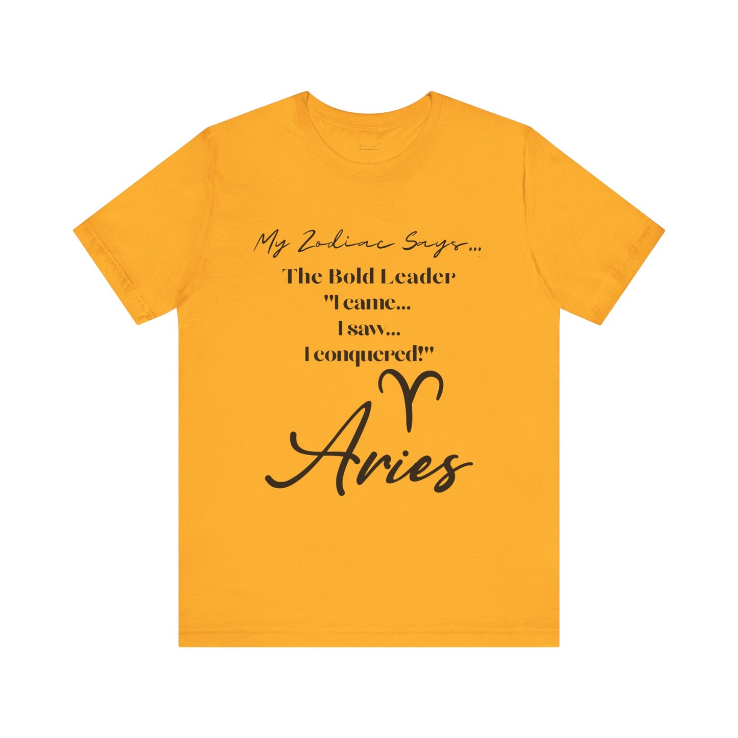 Aries Saying 1 T-Shirt