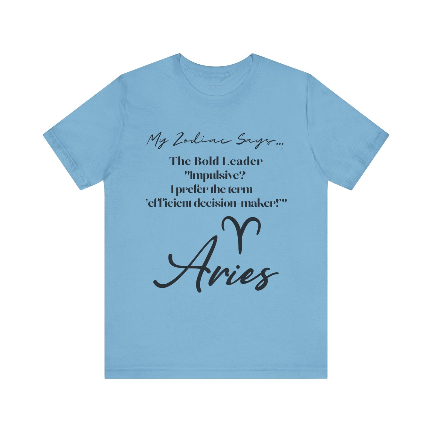 Aries Saying 3 T-Shirt