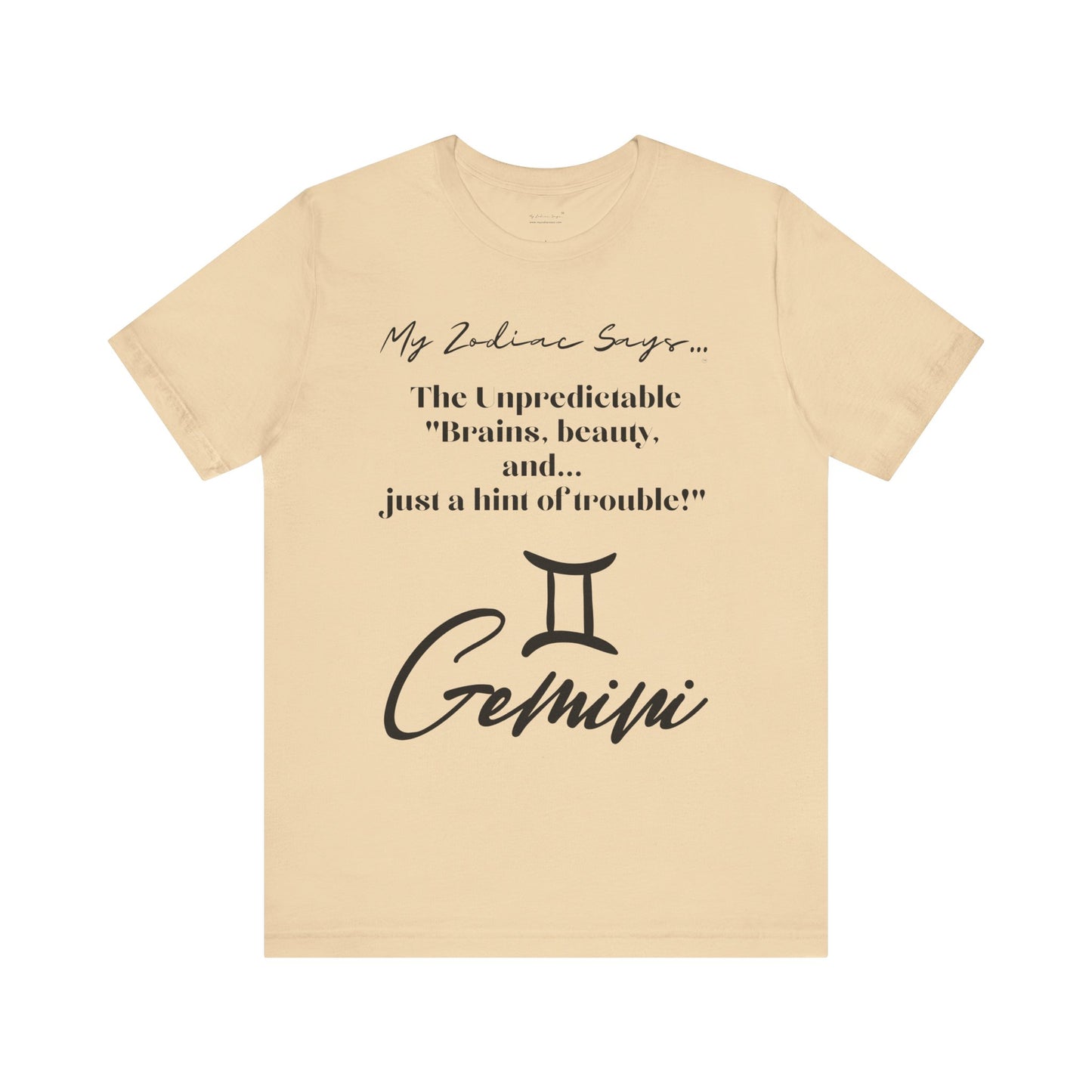 Gemini Cosmic Pun3 T-Shirt