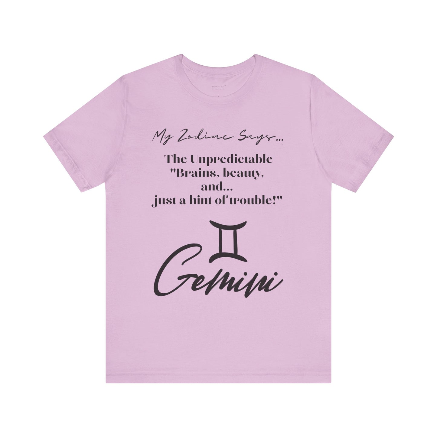 Gemini Cosmic Pun3 T-Shirt