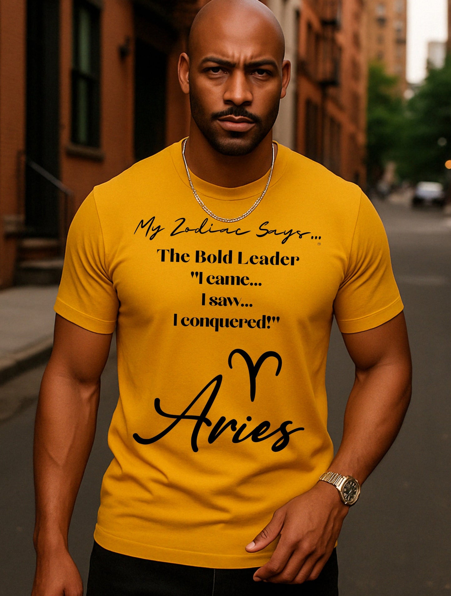 Aries Saying 1 T-Shirt