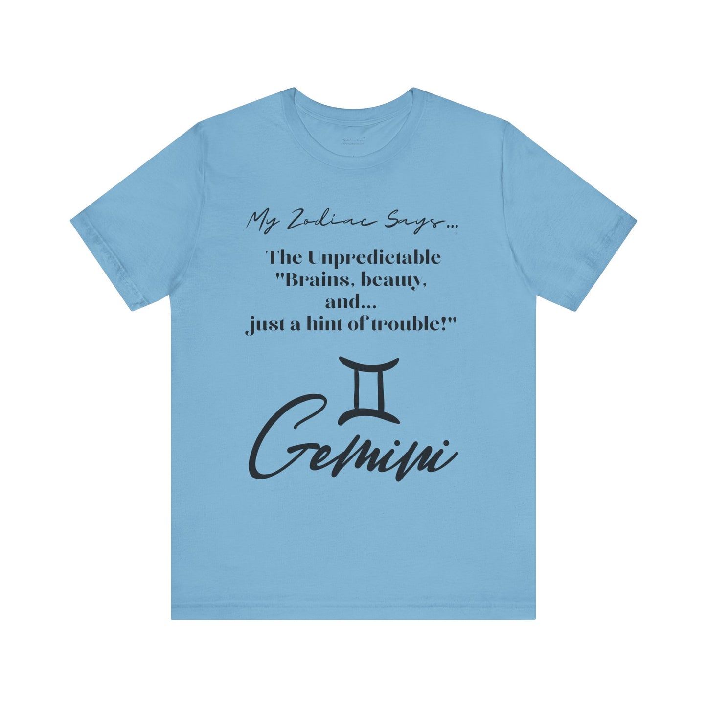 Gemini Cosmic Pun3 T-Shirt