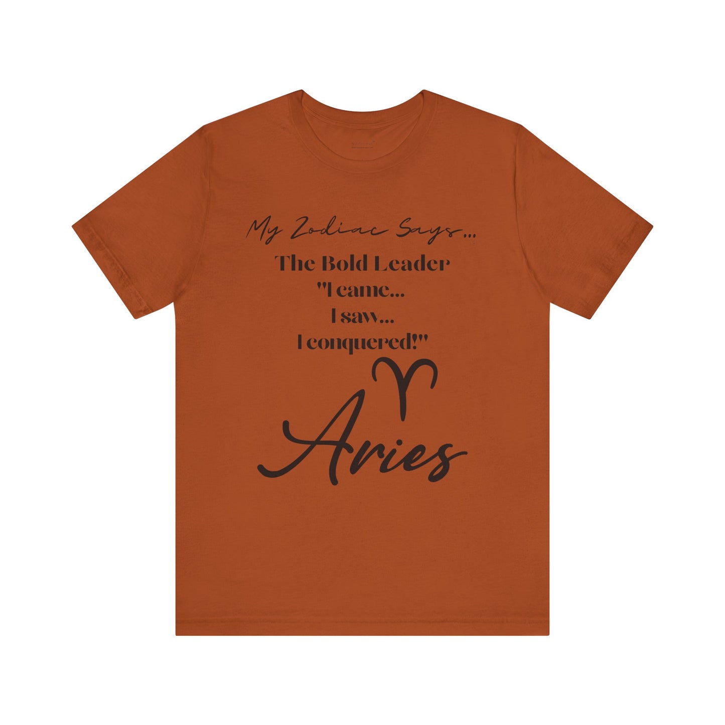 Aries Cosmic Pun1 T-Shirt