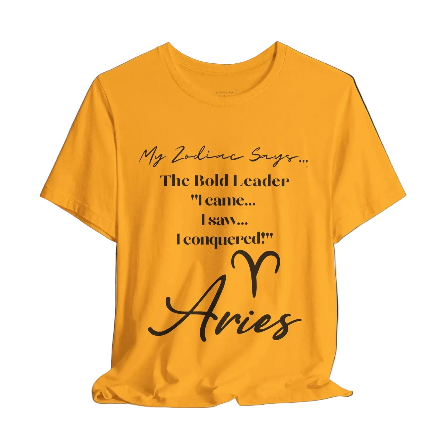 Aries Saying 1 T-Shirt