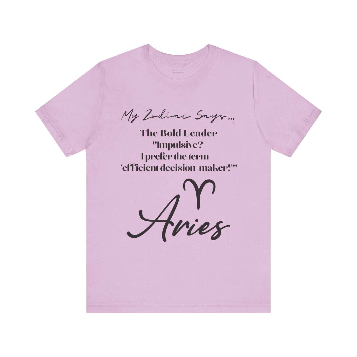 Aries Saying 3 T-Shirt