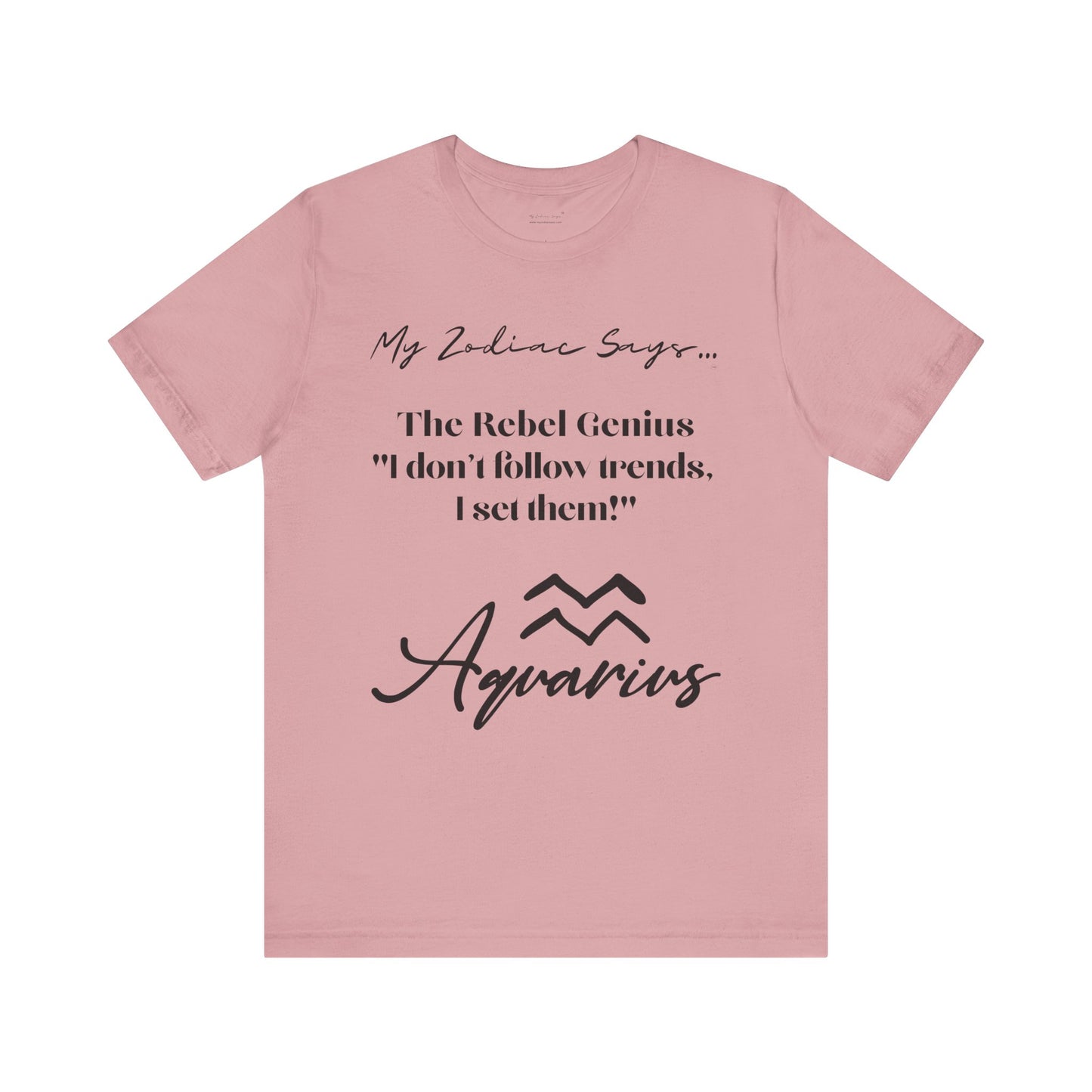Aquarius Cosmic Pun3 T-Shirt
