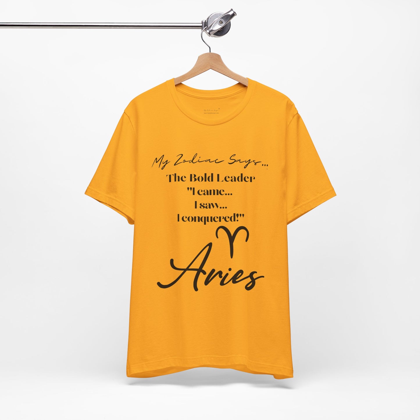 Aries Saying 1 T-Shirt