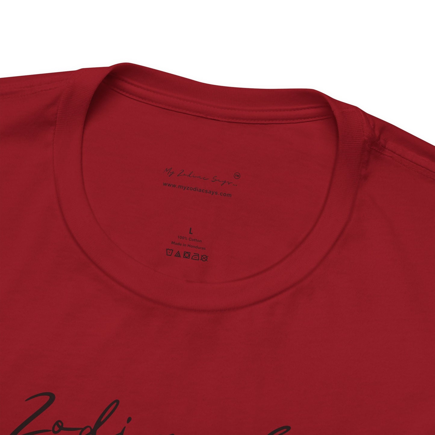 Gemini Cosmic Pun3 T-Shirt