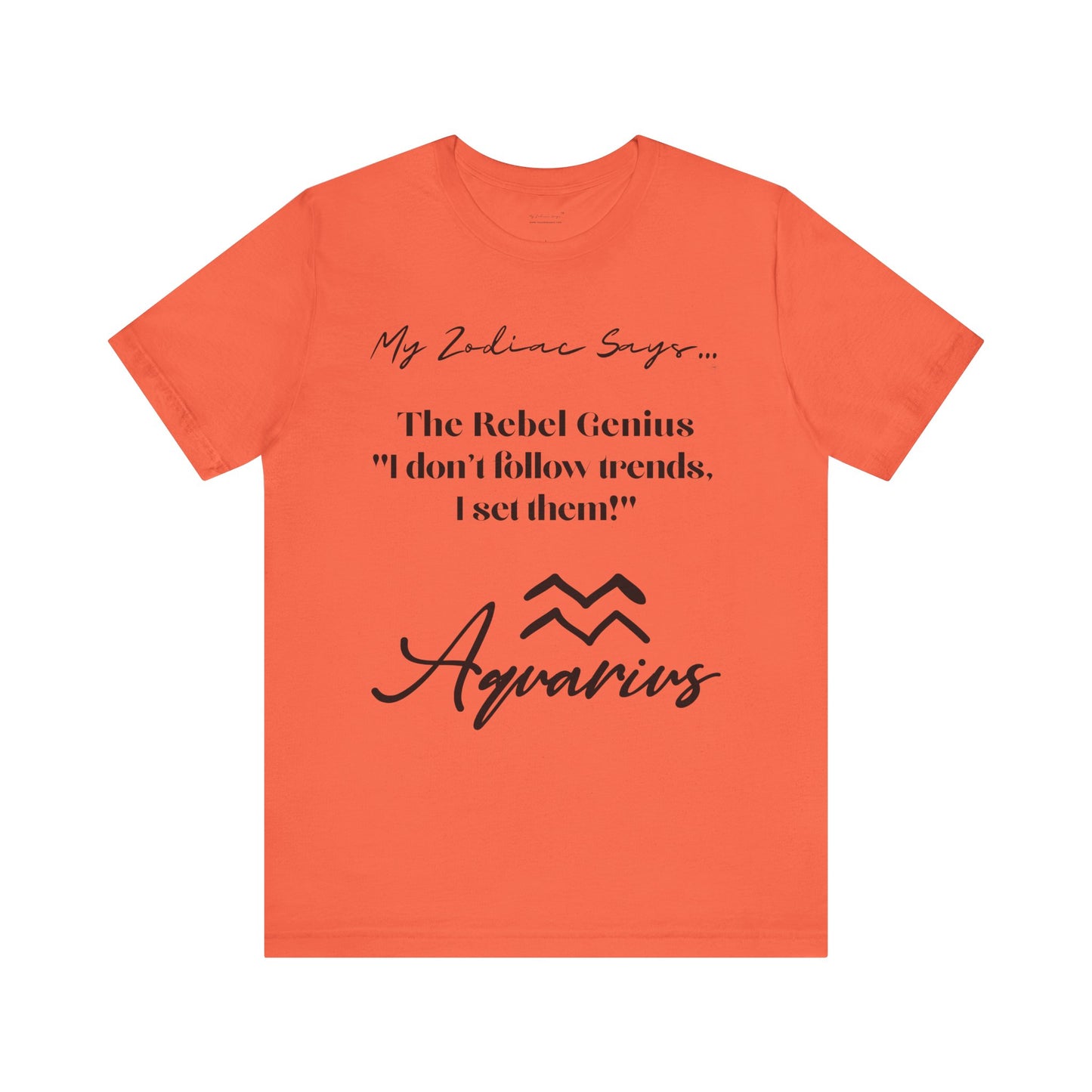 Aquarius Cosmic Pun3 T-Shirt